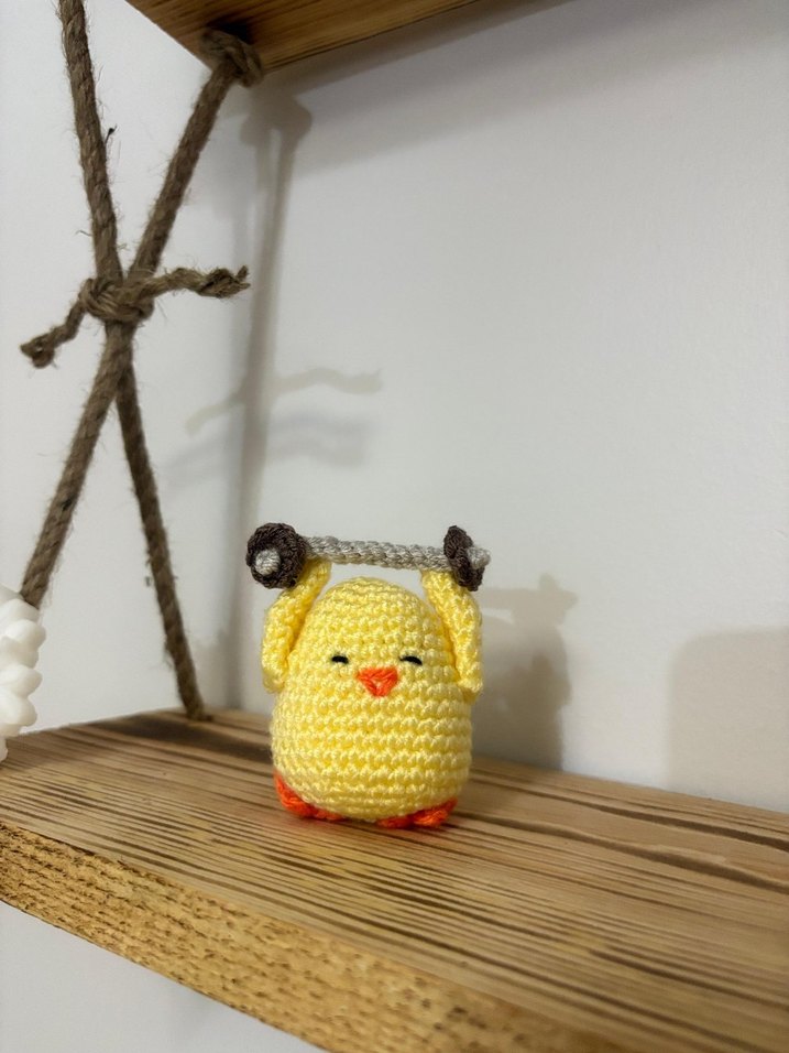 Örgü Civciv Ailesi - Görsel 4