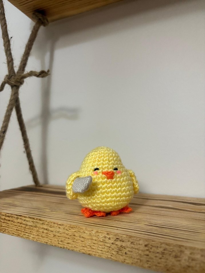 Örgü Civciv Ailesi - Görsel 2