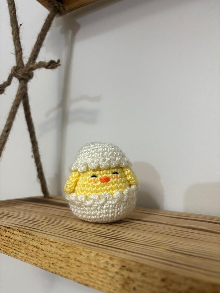 Örgü Civciv Ailesi - Görsel 5