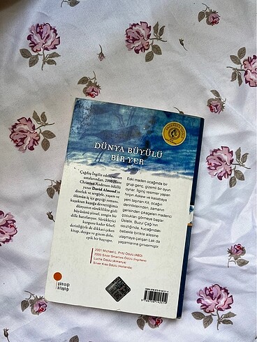 Dünya Büyülü Bir Yer - David Almond