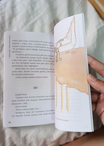 Küçük Prens - Antoine de Saint-Exupéry - Görsel 8