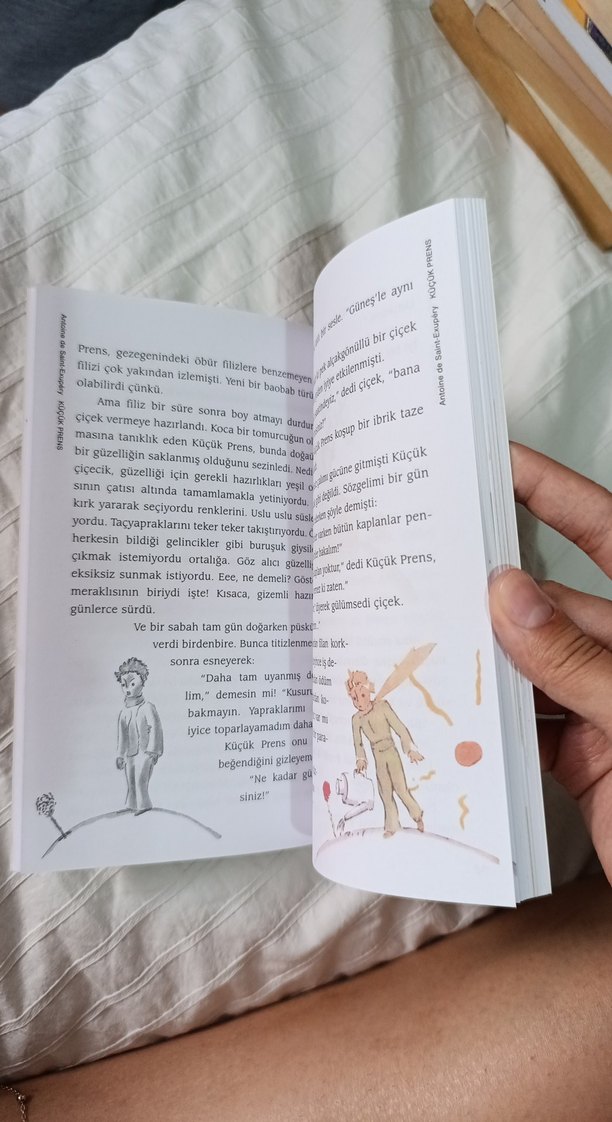 Küçük Prens - Antoine de Saint-Exupéry - Görsel 5