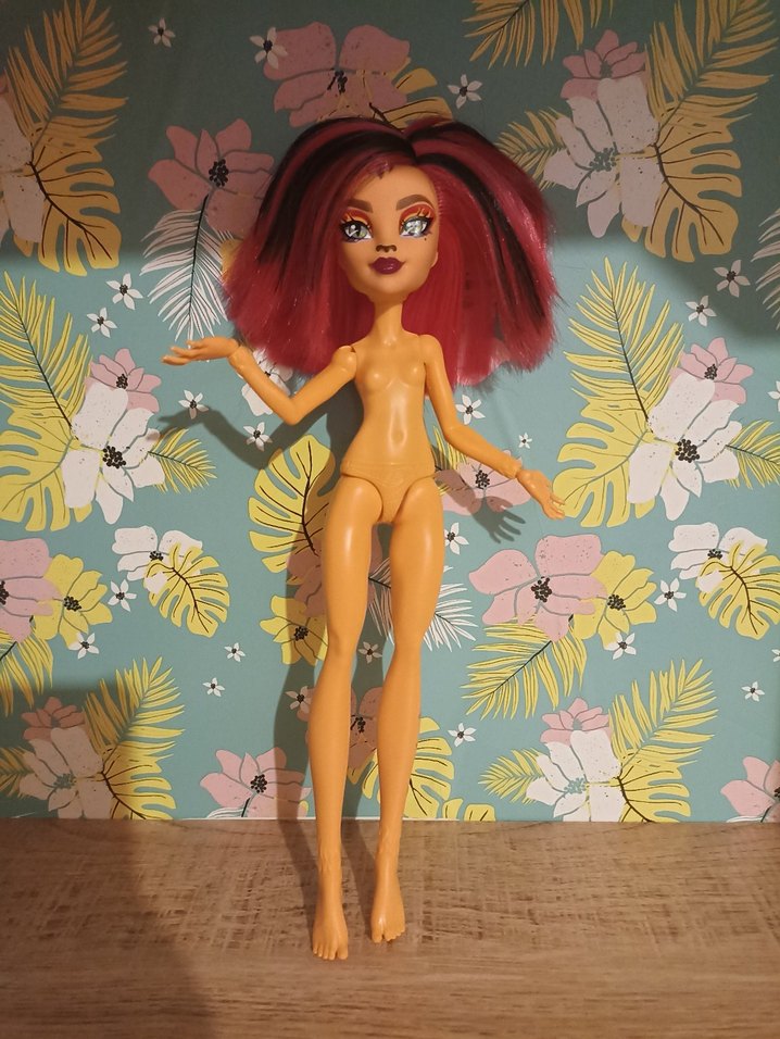 Monster High Toralei ve Dolabı - Görsel 3