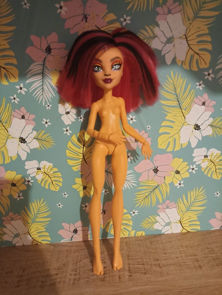 Monster High Toralei ve Dolabı - Görsel 2