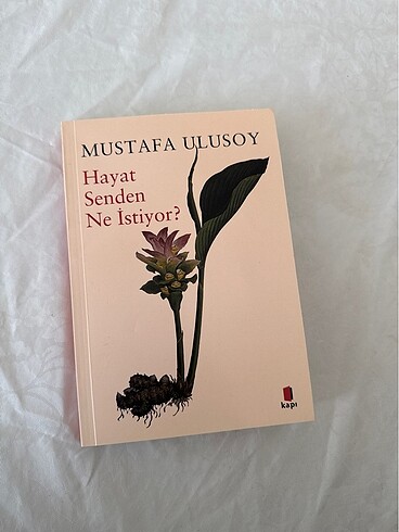 Mustafa Ulusoy/Hayat Senden Ne İstiyor Kapı Yayınları
