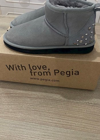 Pegia 37