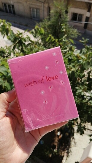 Wish of love 