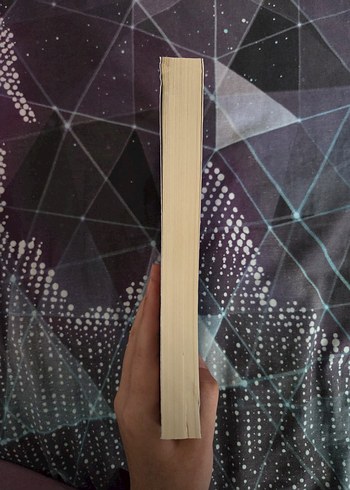 Eğitim Felsefesi - Prof. Dr. Veysel Sönmez - Görsel 3