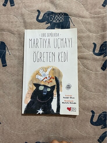 martıya uçmayı öğreten kedi