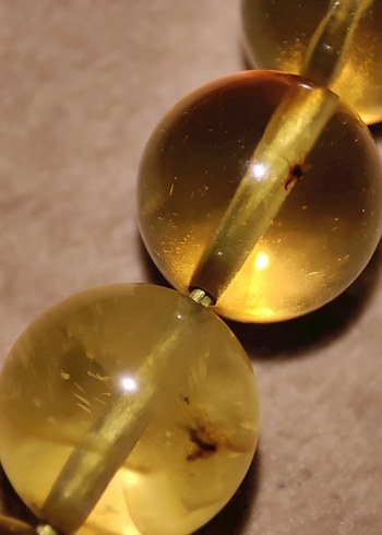 Böcek fosili orjinal damla kehribar - Görsel 9