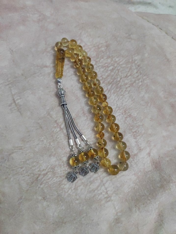 Böcek fosili orjinal damla kehribar - Görsel 2