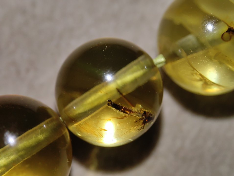 Böcek fosili orjinal damla kehribar - Görsel 5