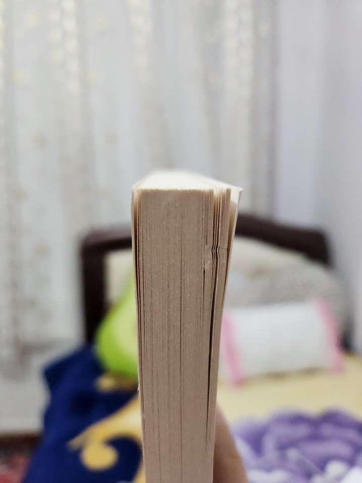 Dostoyevski - Kumarbaz Romanı - Görsel 5