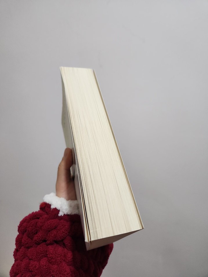 Notre Dame'in Kamburu - Victor Hugo - Görsel 2