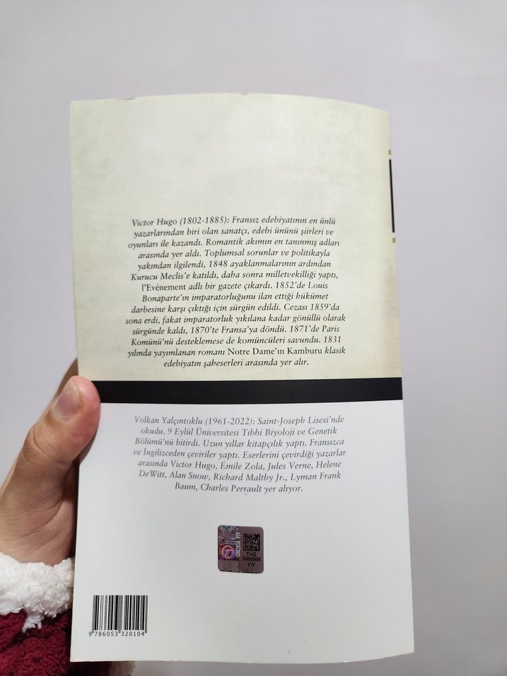 Notre Dame'in Kamburu - Victor Hugo - Görsel 3