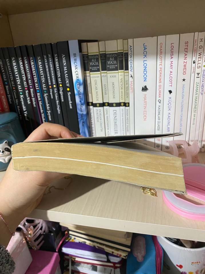 Alex de Souza Biyografi Kitabı - Görsel 3