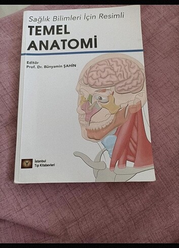 Temel Anatomi