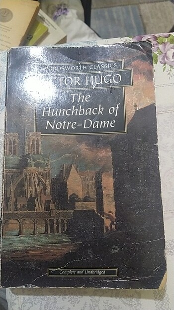 The hunchback of notre-dame roman