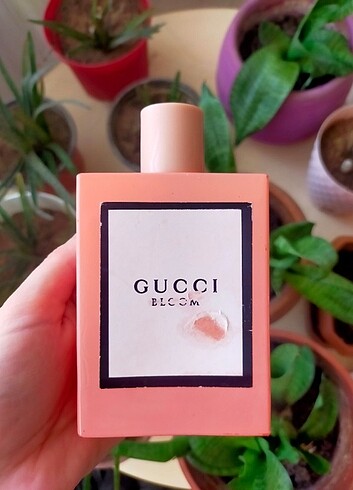  Beden Gucci parfüm 100ml