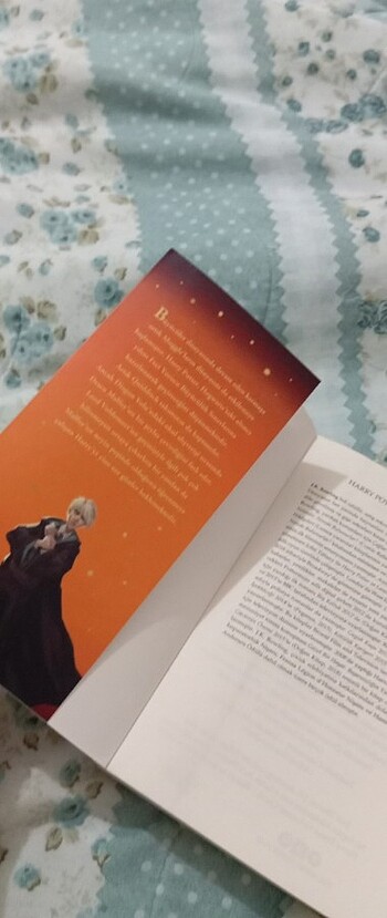Harry Potter ve melez prens