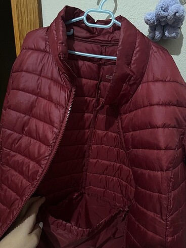 Edelweiss Bordo mont