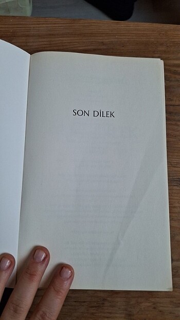  Witcher Son Dilek