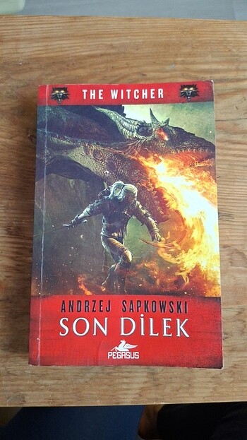 Witcher Son Dilek