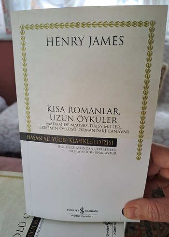 Henry James Kısa Romanlar ve Uzun Öyküler