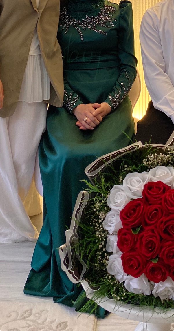 Uzun Kollu İşlemeli Elbisesi - Görsel 3