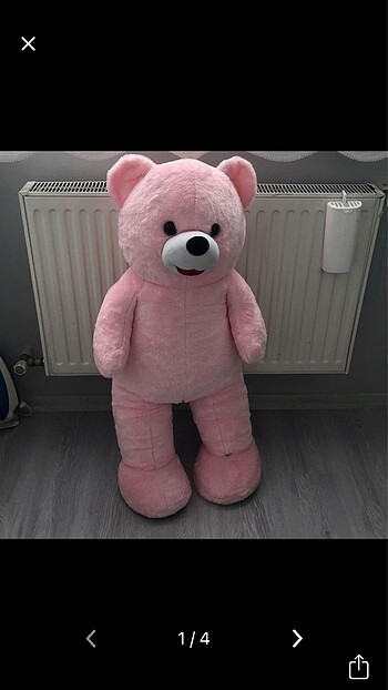 Peluş ayı