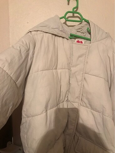 Koton mont