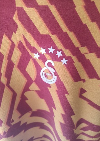 Galatasaray Hoodie - Görsel 3