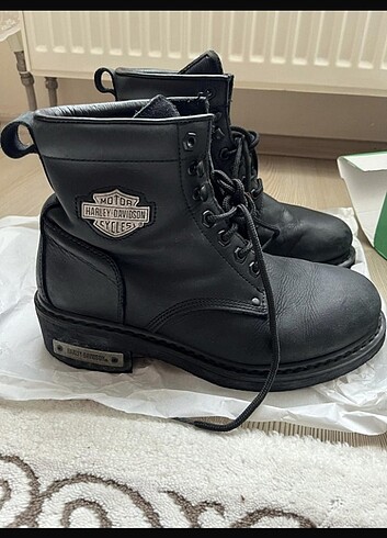 41 Beden Harley davidson bot