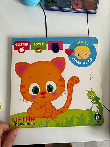Diğer 2 adet eğitici kitap