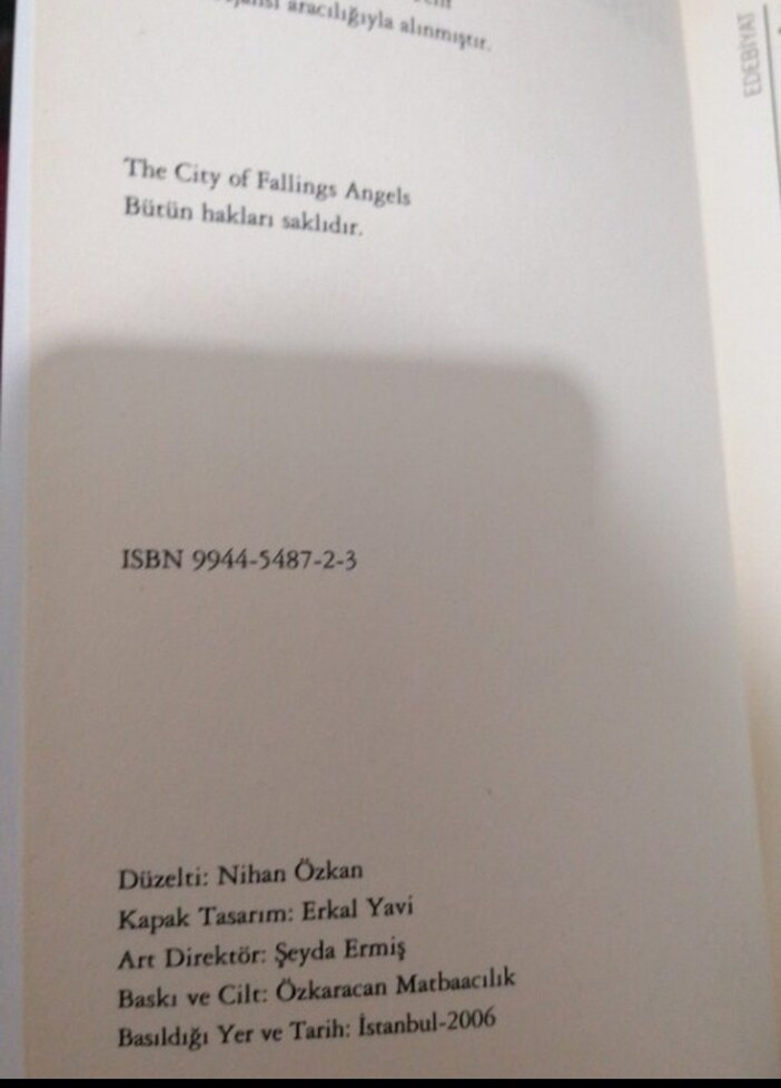 Düşen Melekler Şehri - John Berendt - Görsel 3