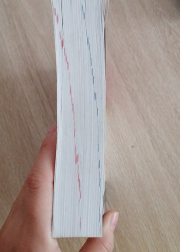 DaF Almanca-Türkçe Sözlük - Görsel 5