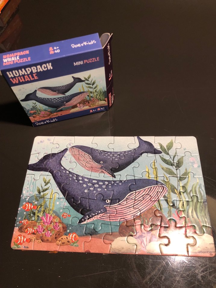 Doerkids Mini Çocuk Yapboz Seti 10 Parça - Görsel 3