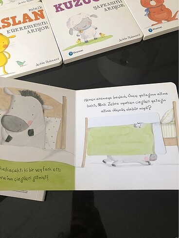 Beden Renk Pearson kapakçıklı kitap serisi