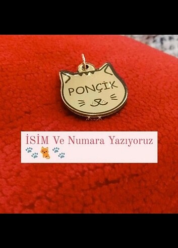 Sadece isimlik