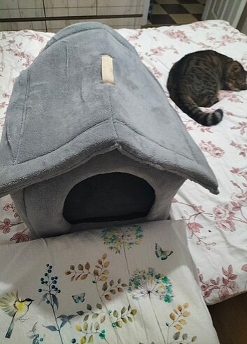  Beden Kedi evi yatağı 