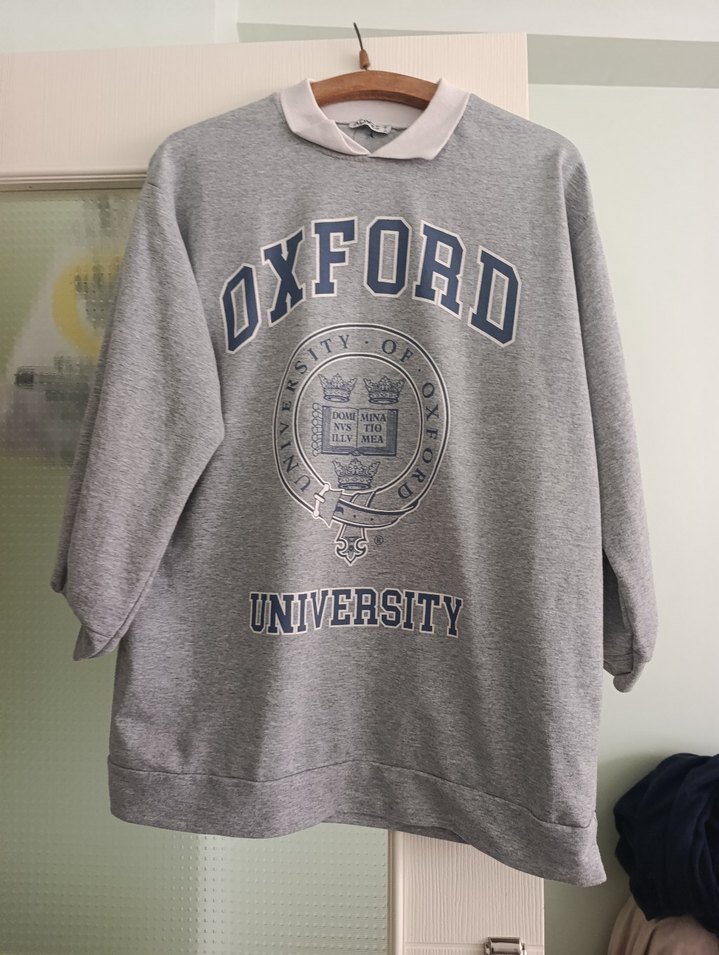 Oxford Baskılı Gri Kadın Sweatshirt - Görsel 2