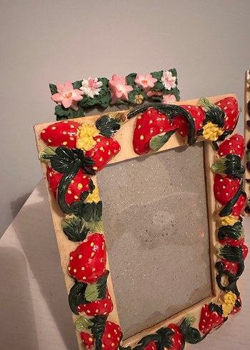 Çiçek ve Meyve Desenli Renkli Çerçeveler - Görsel 5