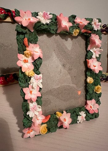 Çiçek ve Meyve Desenli Renkli Çerçeveler - Görsel 2