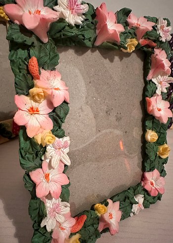 Çiçek ve Meyve Desenli Renkli Çerçeveler - Görsel 3