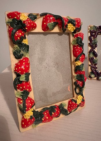 Çiçek ve Meyve Desenli Renkli Çerçeveler - Görsel 4