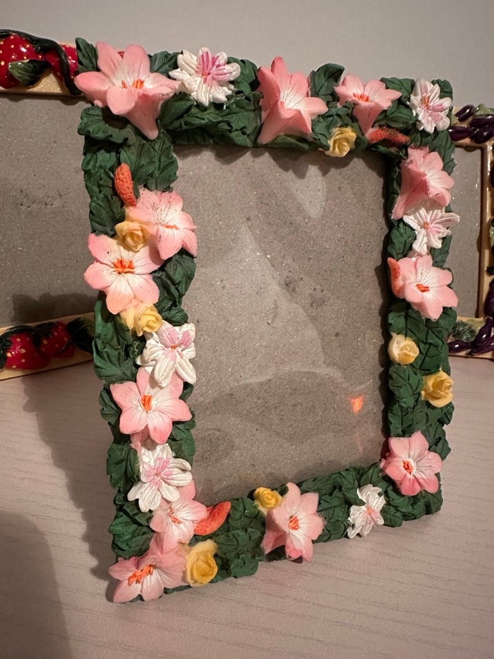 Çiçek ve Meyve Desenli Renkli Çerçeveler - Görsel 2