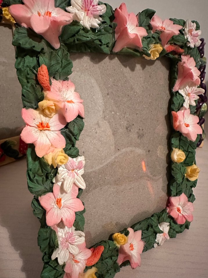 Çiçek ve Meyve Desenli Renkli Çerçeveler - Görsel 3