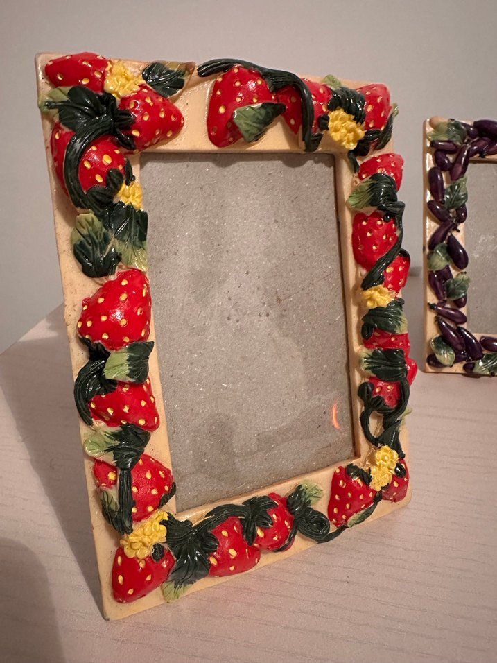 Çiçek ve Meyve Desenli Renkli Çerçeveler - Görsel 4