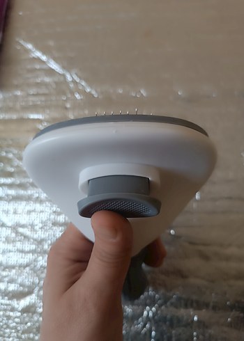 Gri Kedi Tüy Fırçası - Görsel 5