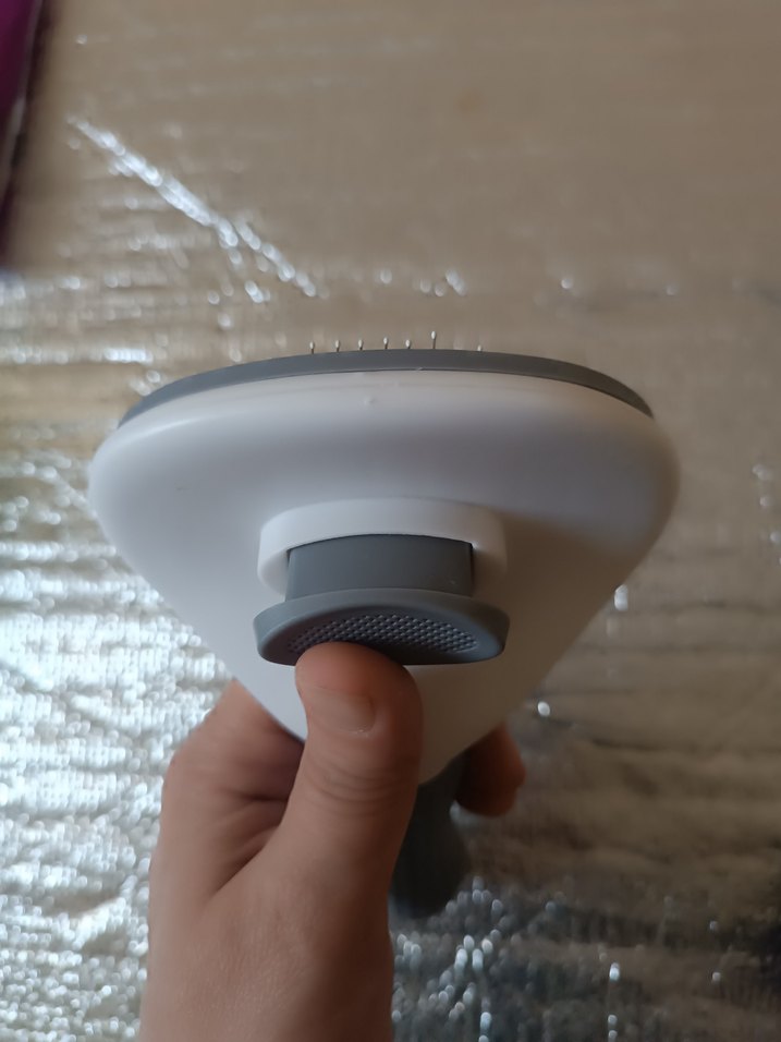 Gri Kedi Tüy Fırçası - Görsel 5